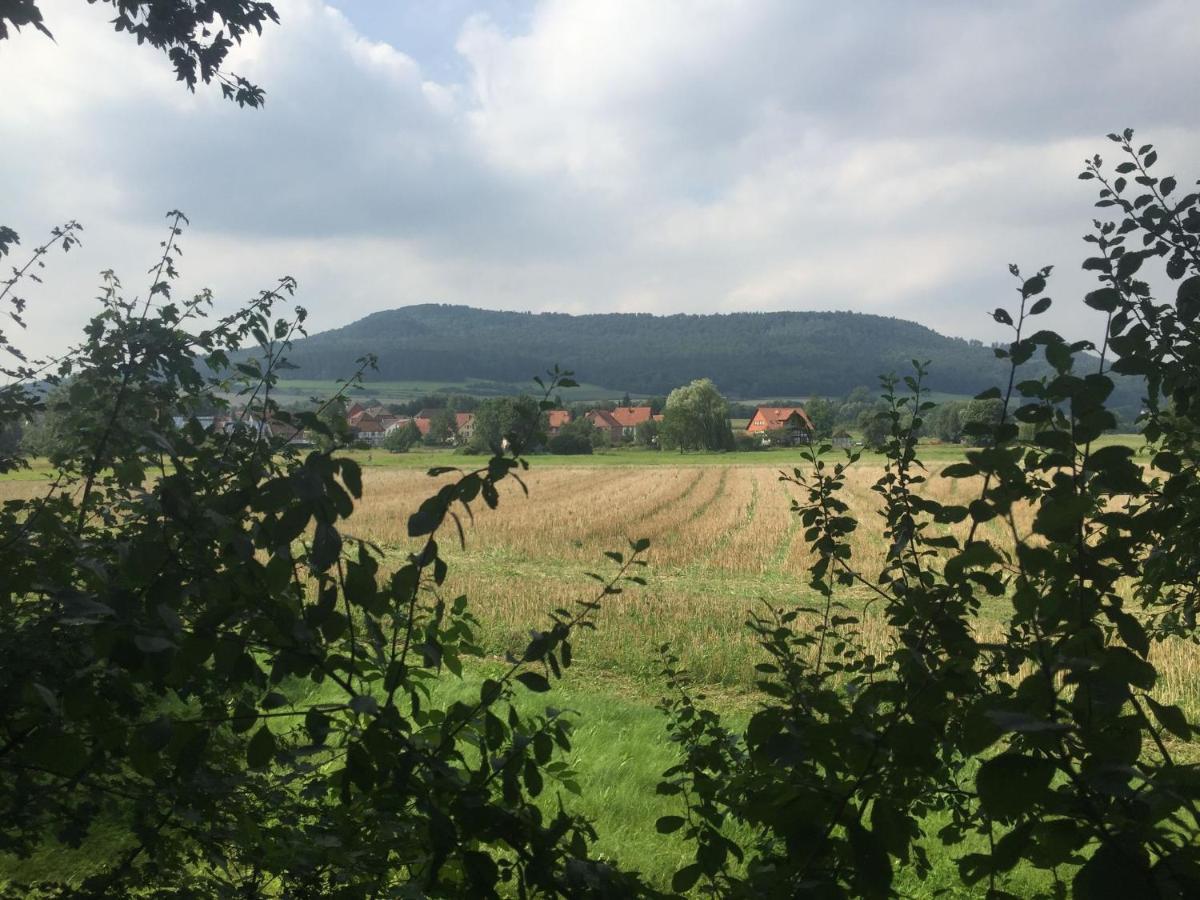 Modern Holiday Home Near River In Amelgatzen Emmerthal ภายนอก รูปภาพ